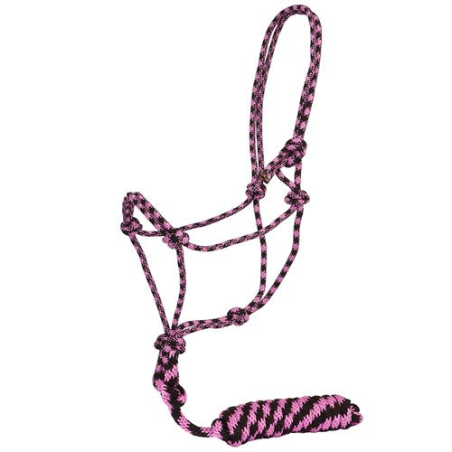 Rope Halter w/Lead