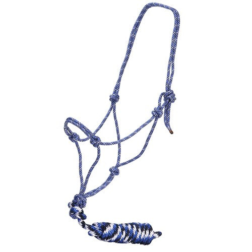 Rope Halter w/Lead