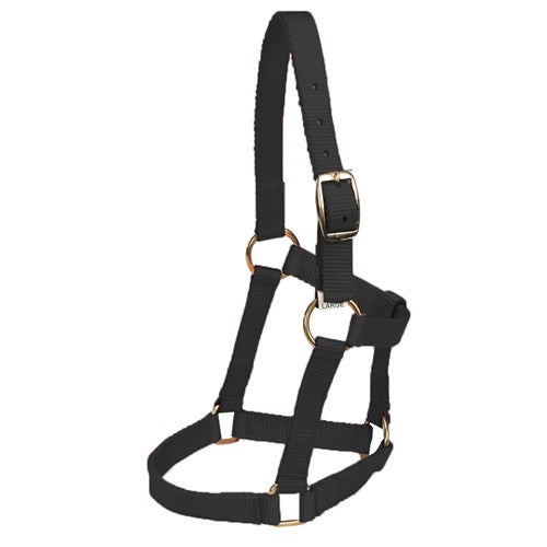 Mini Halter
