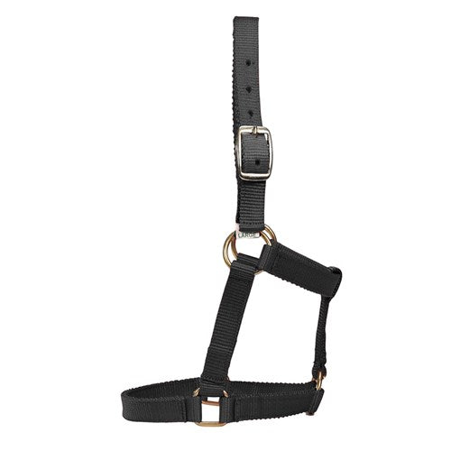 Mini Halter