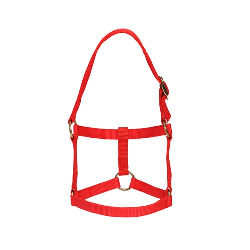 Mini Halter