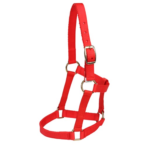 Mini Halter