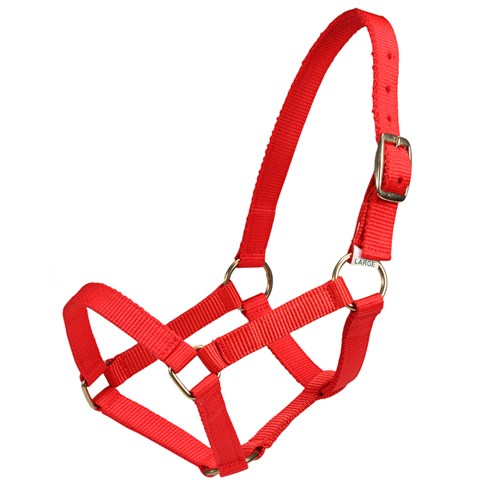 Mini Halter
