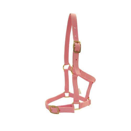 Nylon Foal Halter w/Buckles