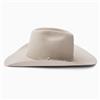 Resistol CJ The SP 6X Fur Felt Silverbelly