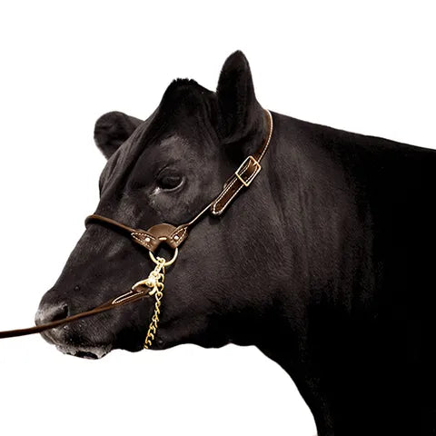 Leather Show Halter