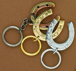 Horseshoe Keyring - Assorted Colours