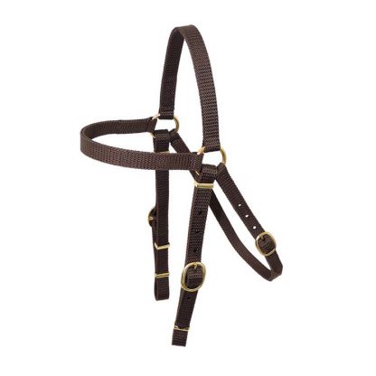 Nyla-Web Barcoo Bridle - Various Sizes