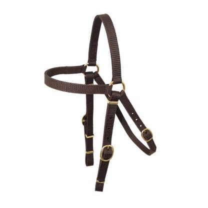 NYLA-WEB BARCOO BRIDLE