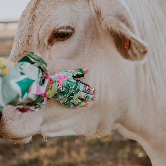 Bush Mits Gloves - The Joscelin's by Antola Trading