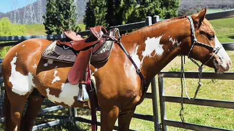 TR Contured Hair Saddle Pad