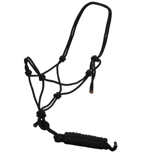 Rope Halter w/Lead