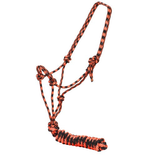 Rope Halter w/Lead
