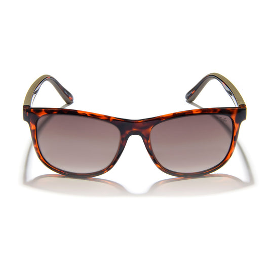 Gidgee Eyewear Fender Amber Tort
