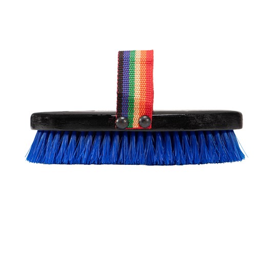 Rainbow Body Brush