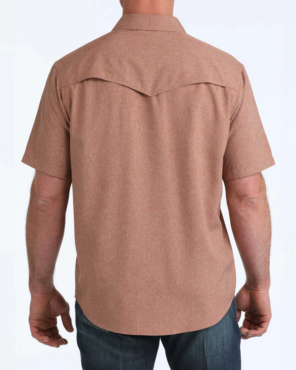 Cinch Mens Shortsleeve Shirt - Brown