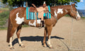 Minty Saddle Blanket