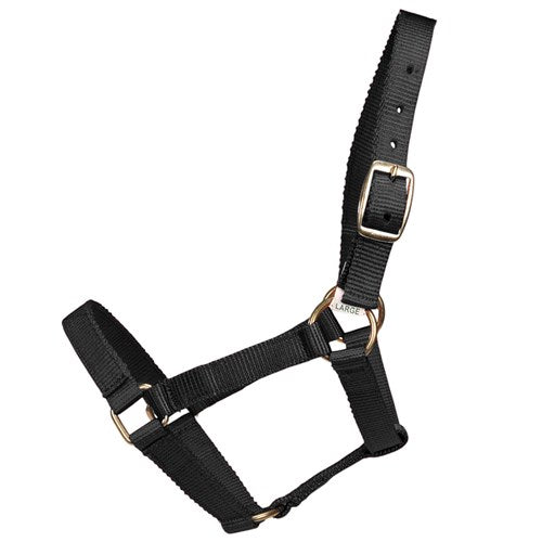 Mini Halter
