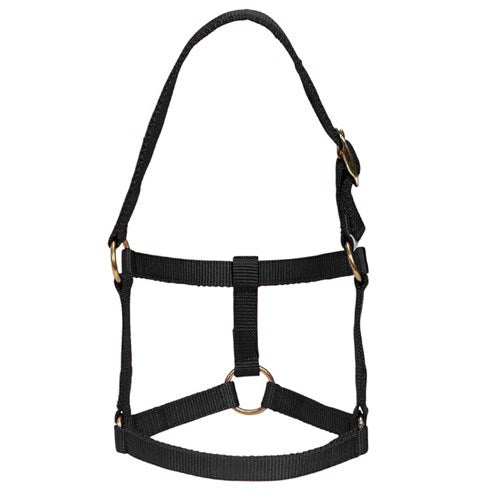 Mini Halter