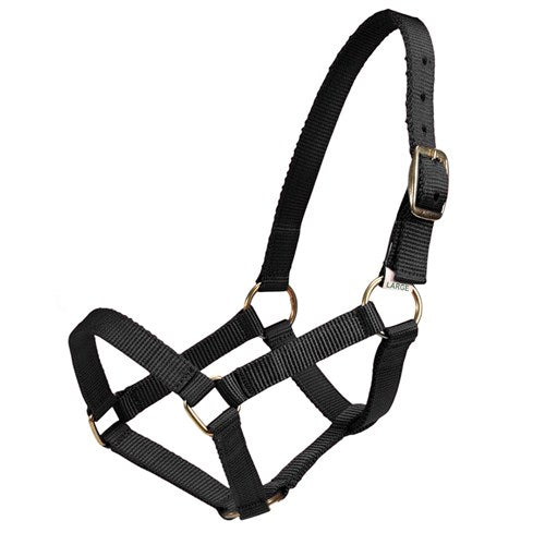 Mini Halter