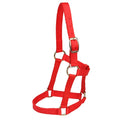 Mini Halter