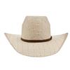 Resistol Hooey Pecos Tan/Natural Straw