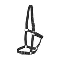Rancher Stable Halter - Full