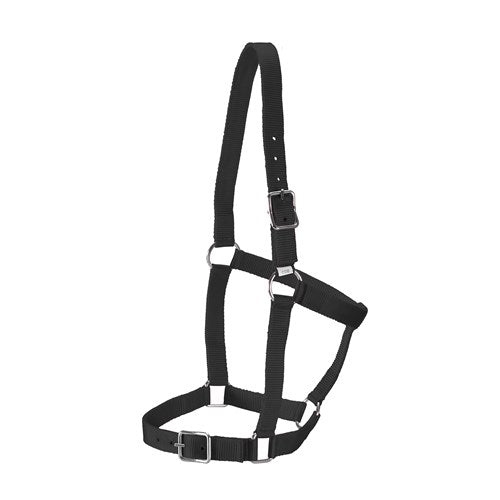 Rancher Stable Halter - Full