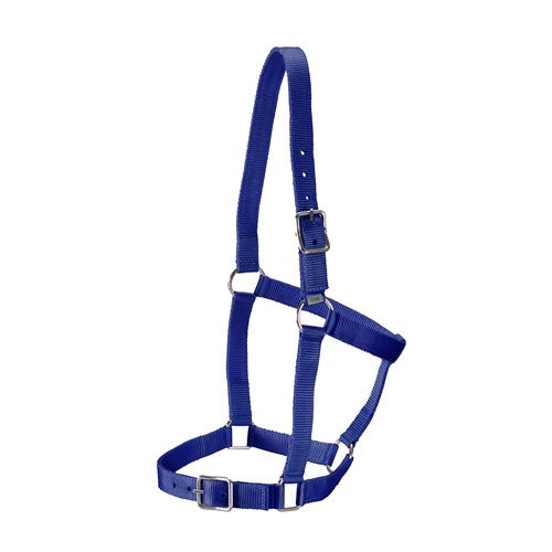 Rancher Stable Halter - Cob