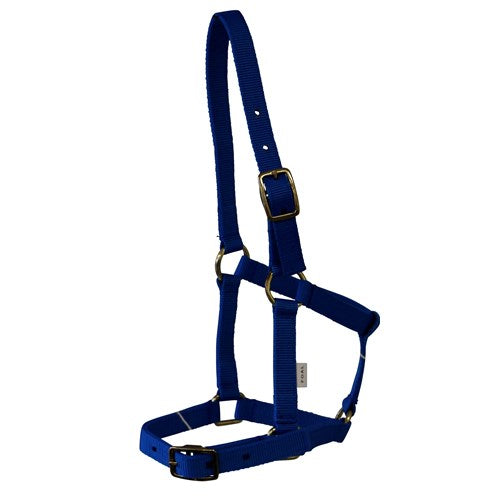 Nylon Foal Halter w/Buckles