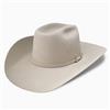 Resistol CJ The SP 6X Fur Felt Silverbelly