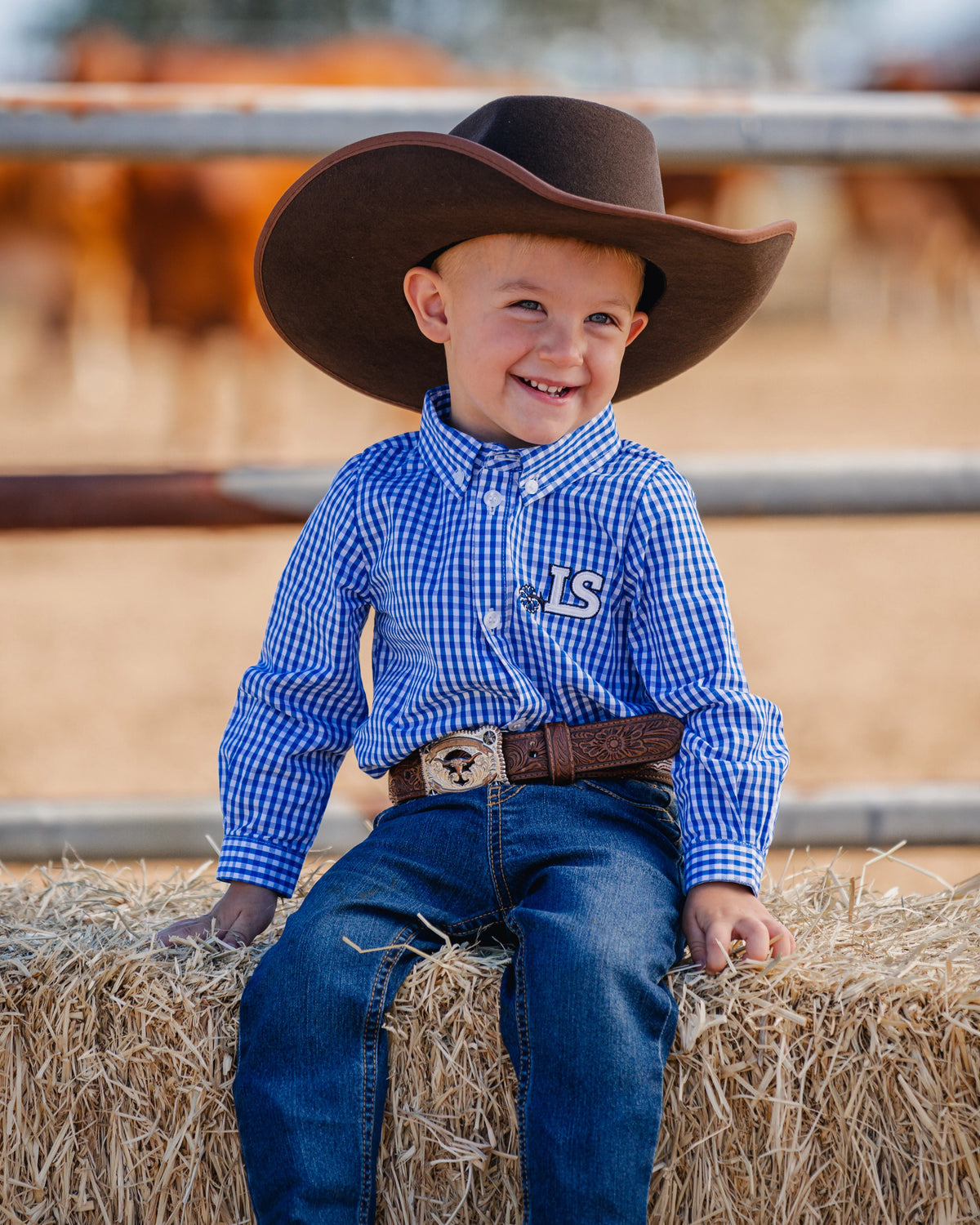 Boys Long Sleeved Romper - Blue Gingham