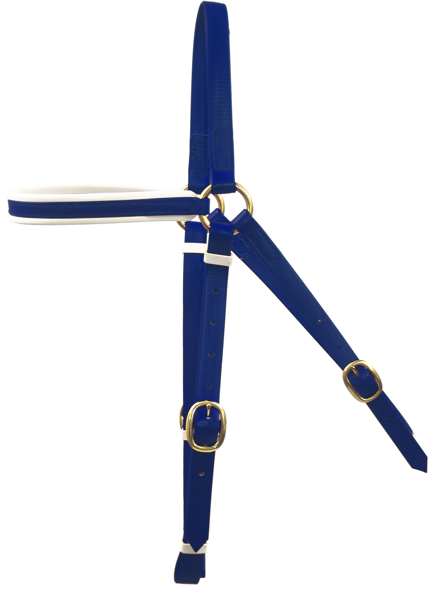 PVC Bridle - Cob