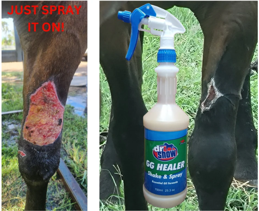 Dr Show GG Healer Shake & Spray 750ml