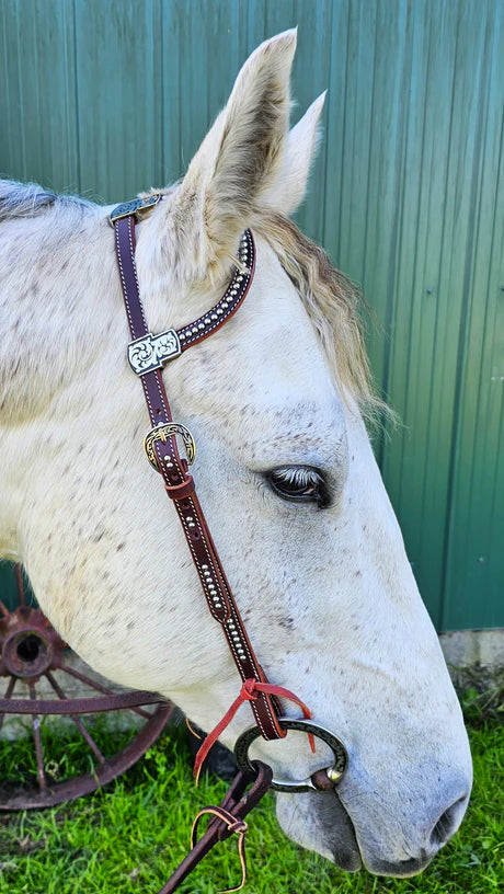 TR One Ear Bridle