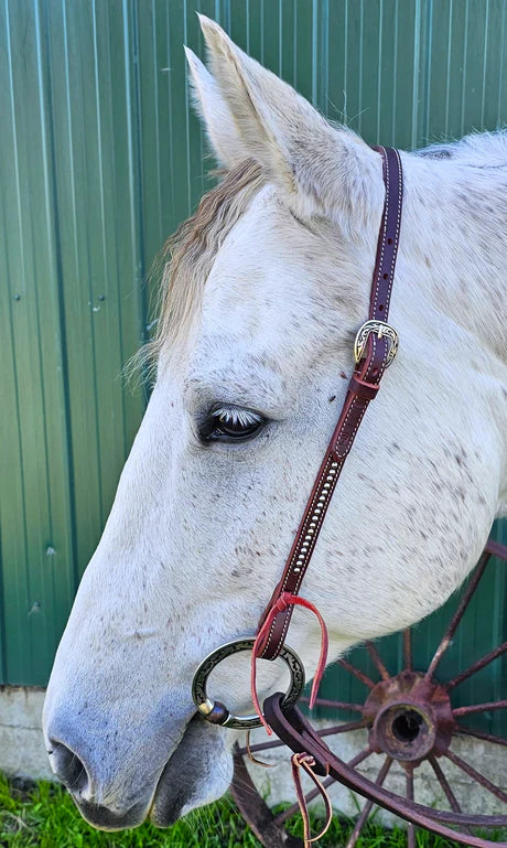 TR One Ear Bridle
