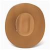 Resistol CJ The SP 6X Fur Felt Butterscotch